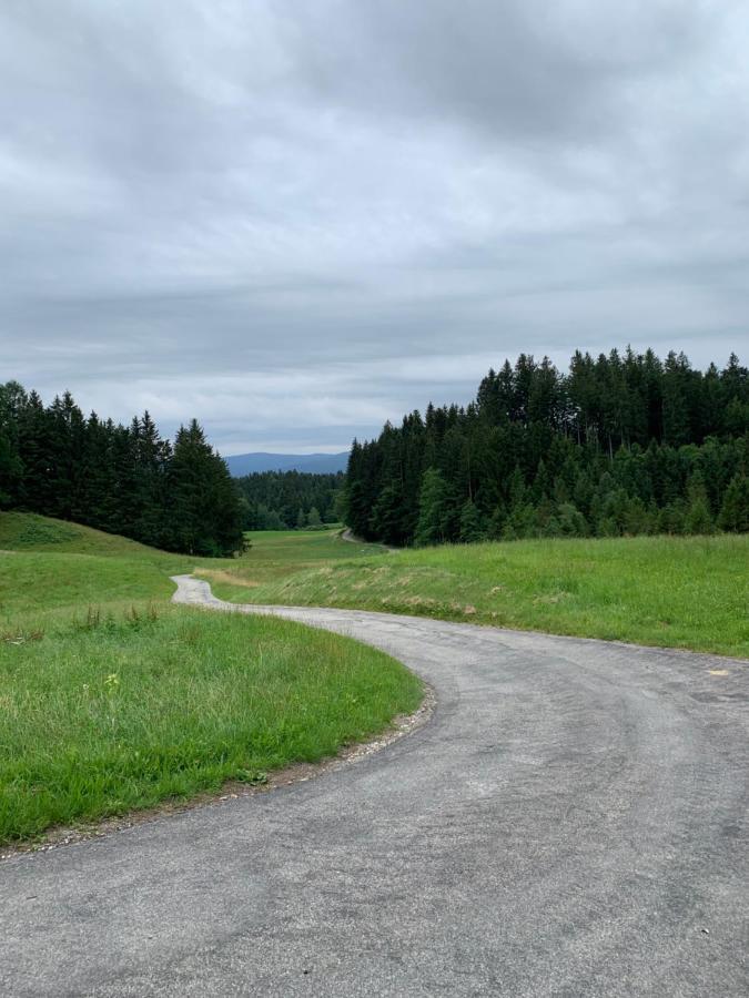 Apartman Artemis Bešeňová Exteriör bild